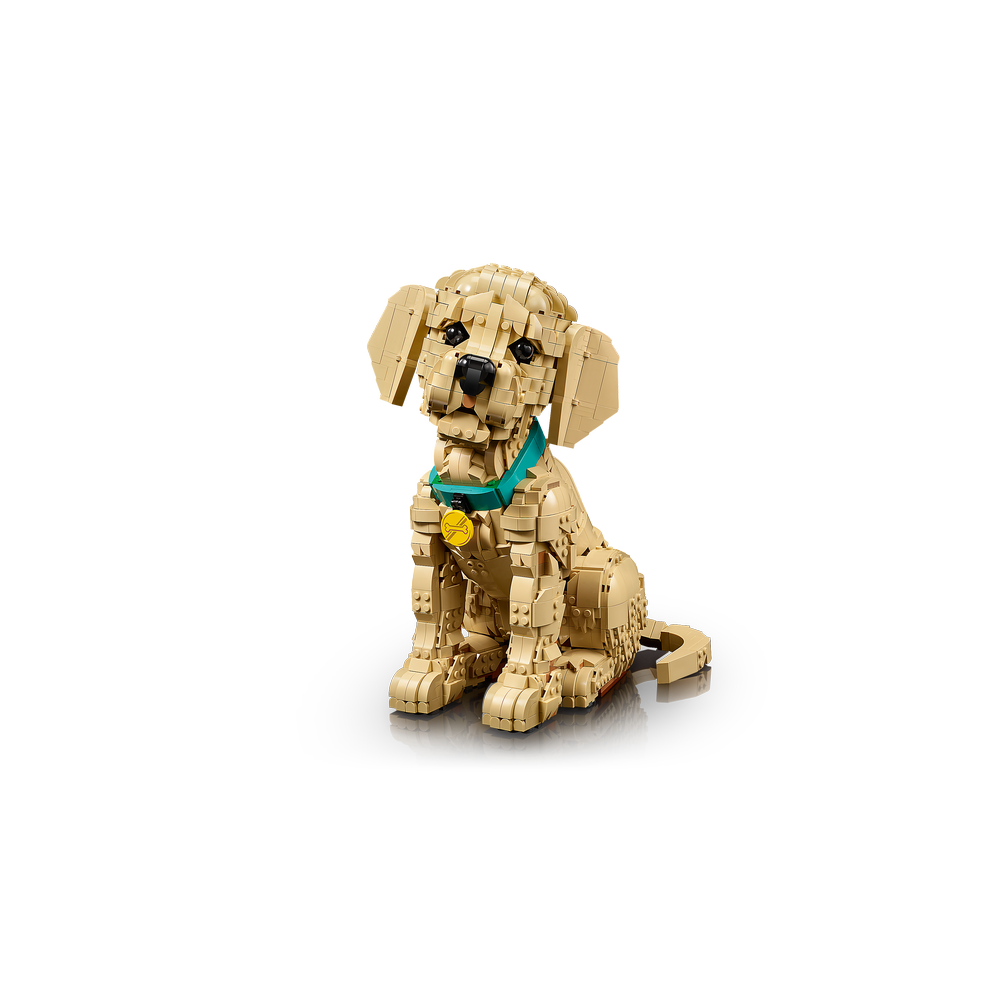 Cachorro de Golden Retriever
