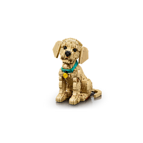 Cachorro de Golden Retriever