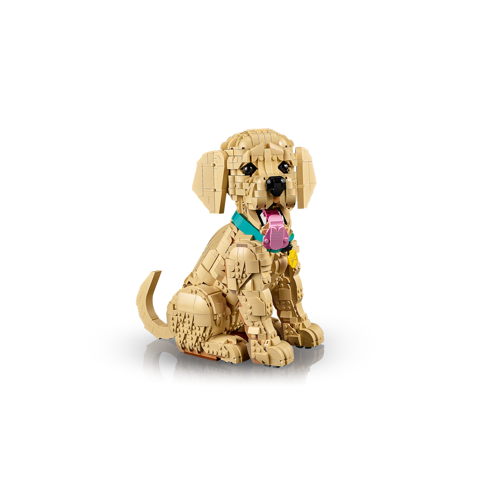 Cachorro de Golden Retriever