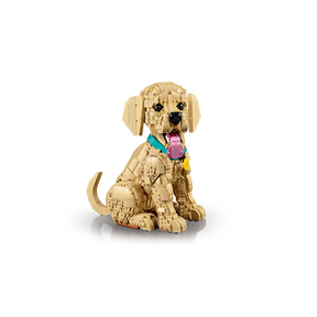 Cachorro de Golden Retriever