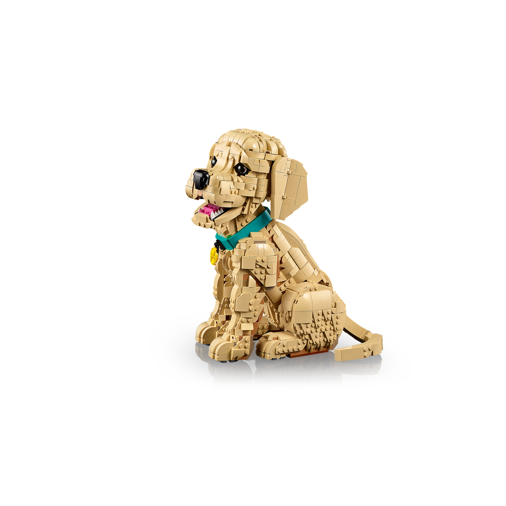 Cachorro de Golden Retriever