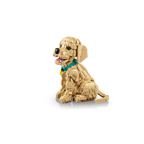 Cachorro de Golden Retriever
