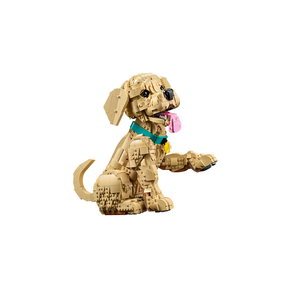 Cachorro de Golden Retriever