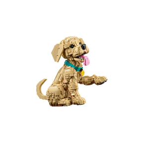 Cachorro de Golden Retriever