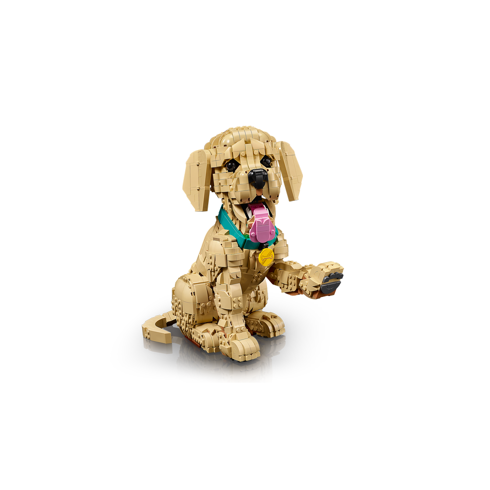 Cachorro de Golden Retriever
