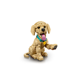 Cachorro de Golden Retriever