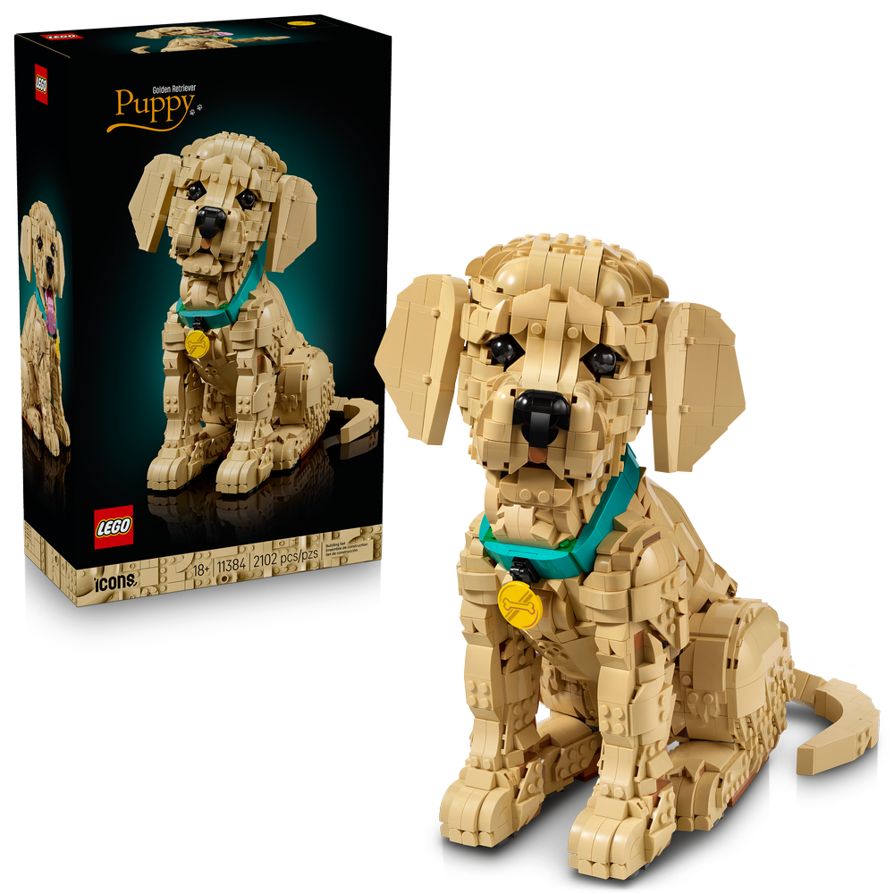 Cachorro de Golden Retriever