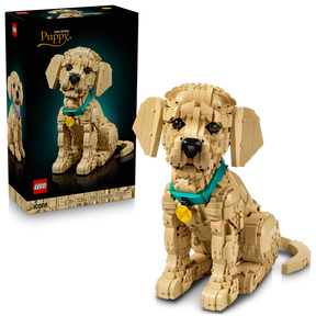 Cachorro de Golden Retriever