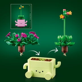 Plantas Bailarinas