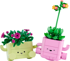 Plantas Bailarinas