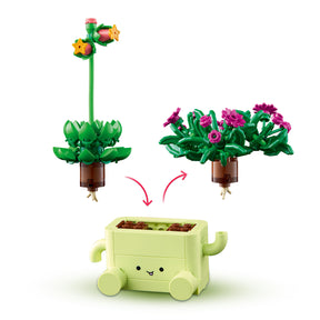 Plantas Bailarinas