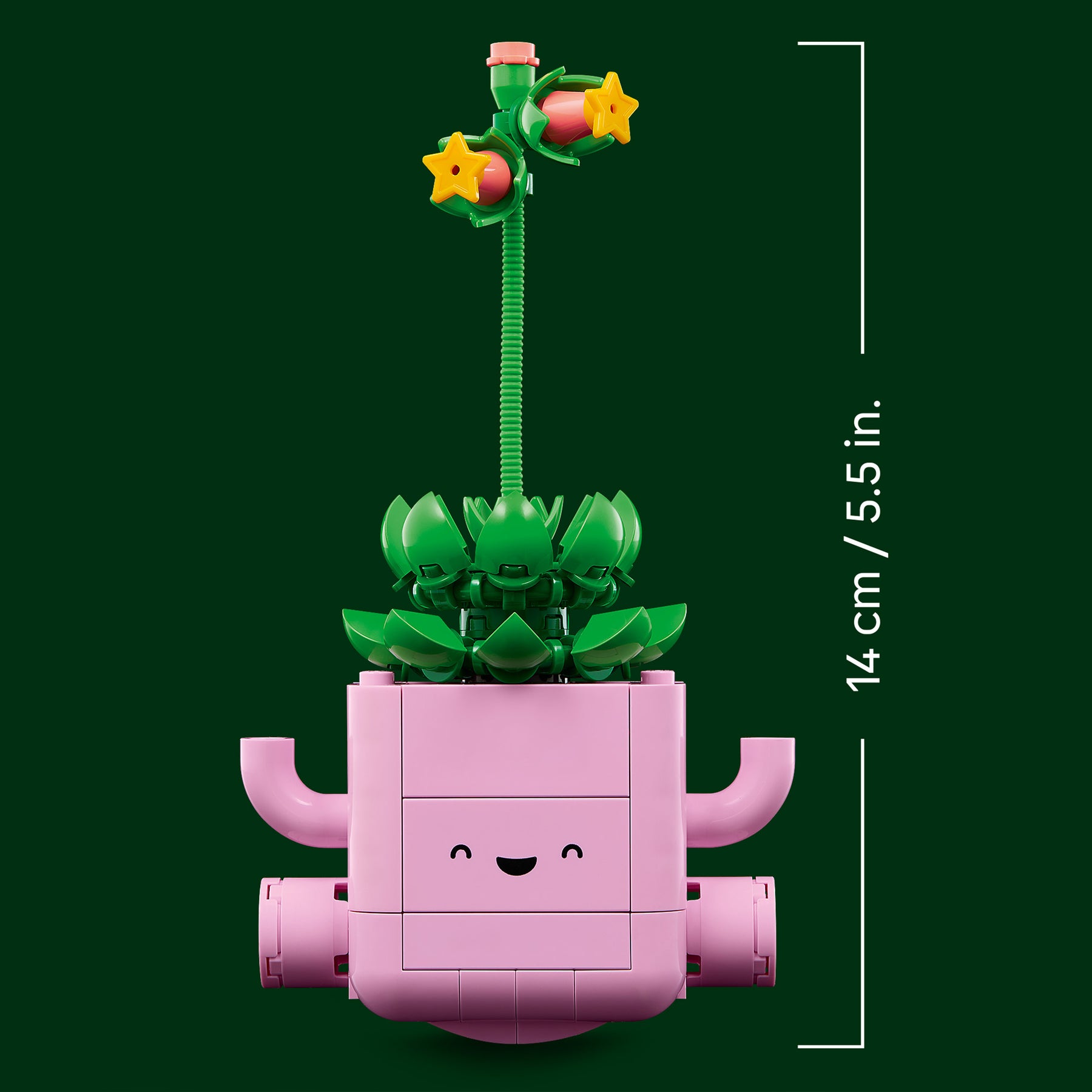 Plantas Bailarinas