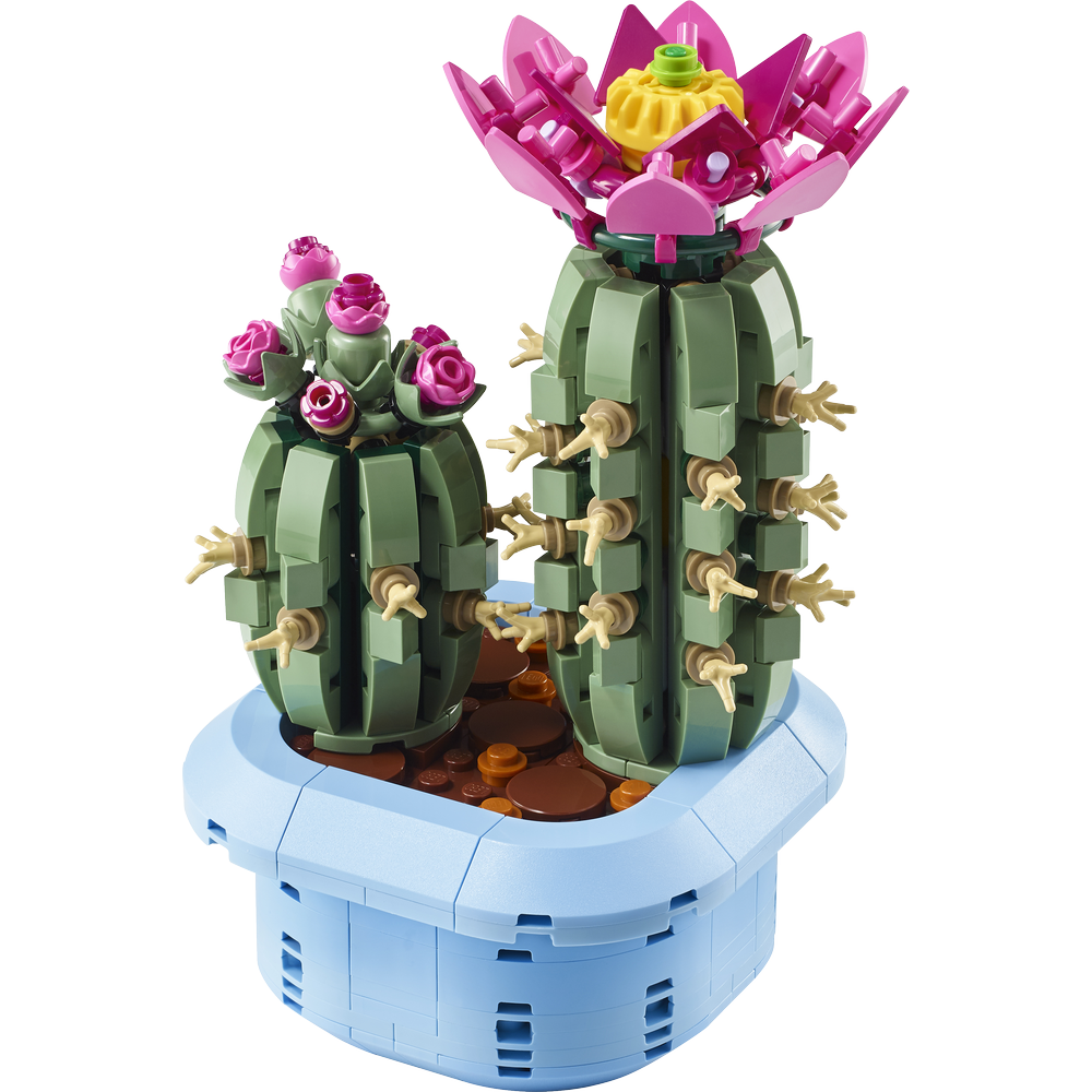 Cactus en Flor