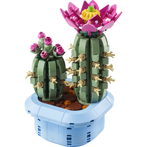 Cactus en Flor