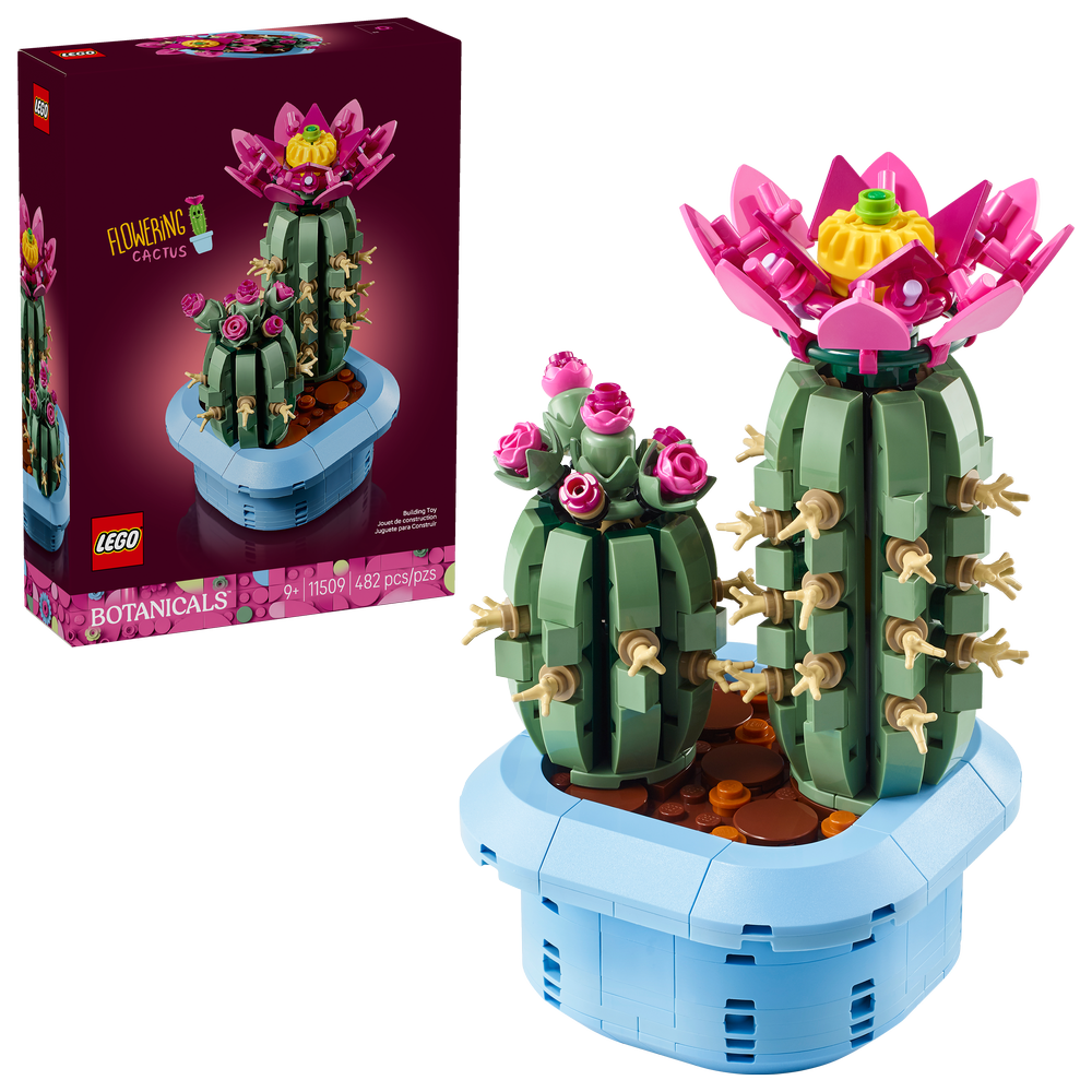 Cactus en Flor