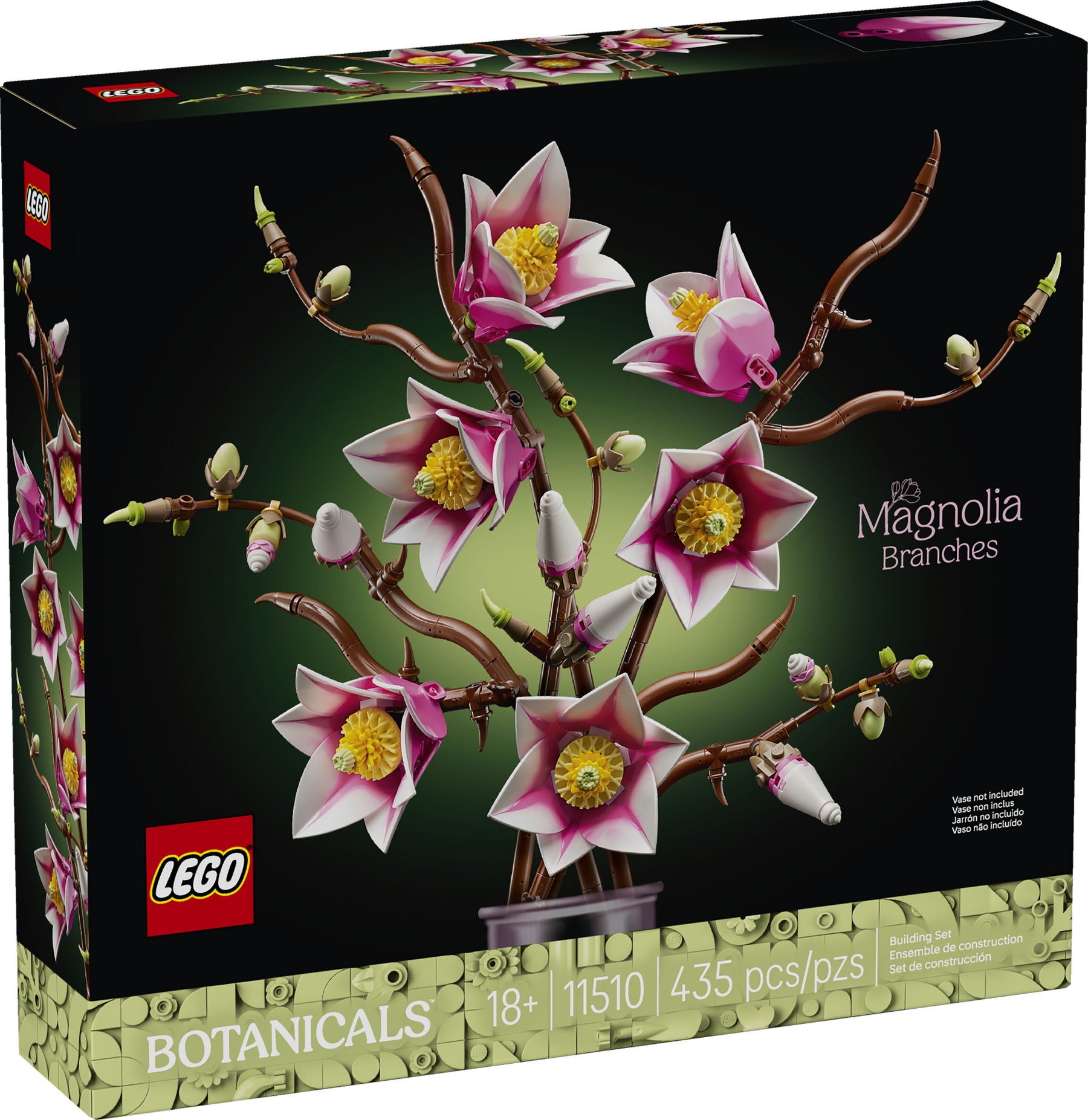 Ramas de Magnolia