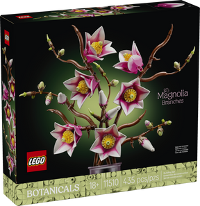 Ramas de Magnolia