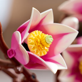 Ramas de Magnolia