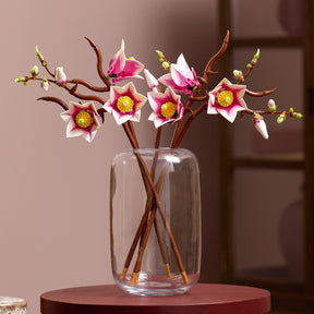 Ramas de Magnolia