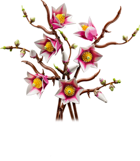 Ramas de Magnolia