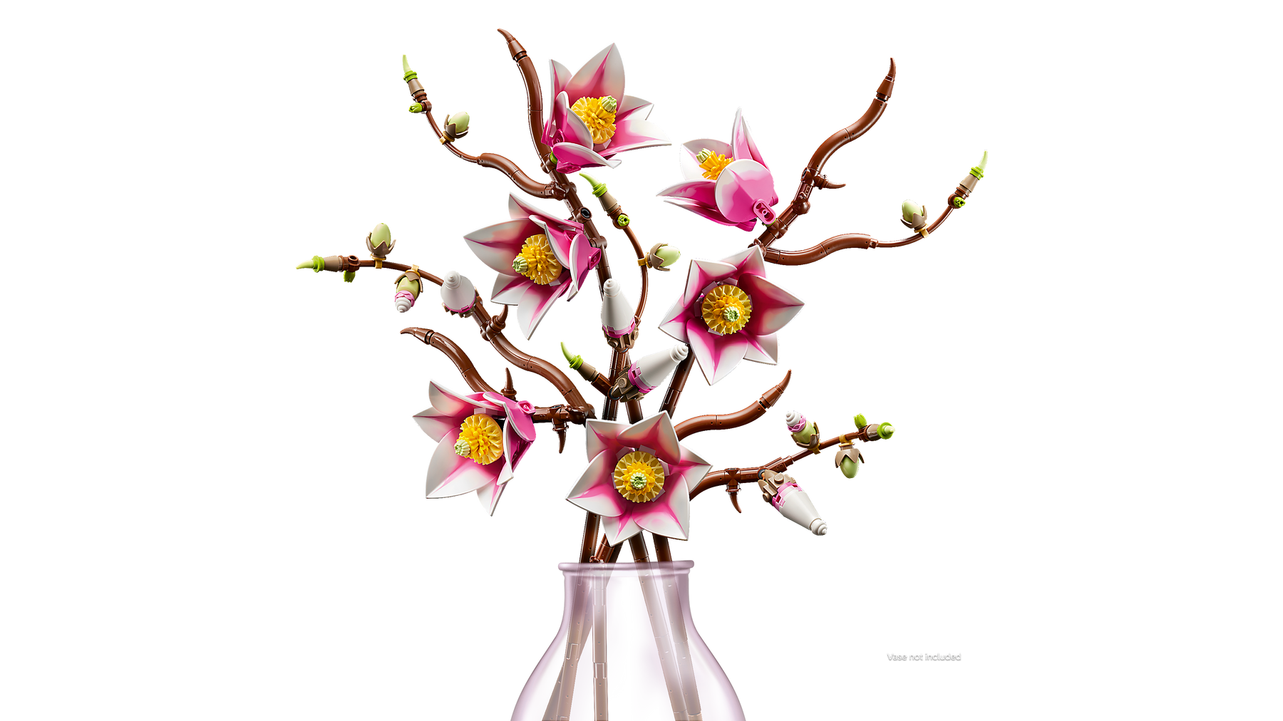 Ramas de Magnolia
