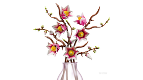 Ramas de Magnolia