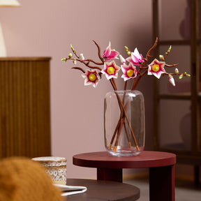 Ramas de Magnolia