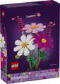 Flores de Cosmos