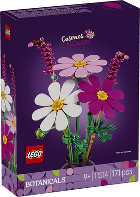Flores de Cosmos