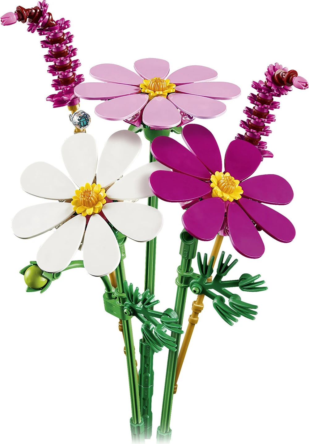 Flores de Cosmos