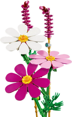 Flores de Cosmos