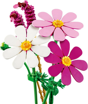Flores de Cosmos