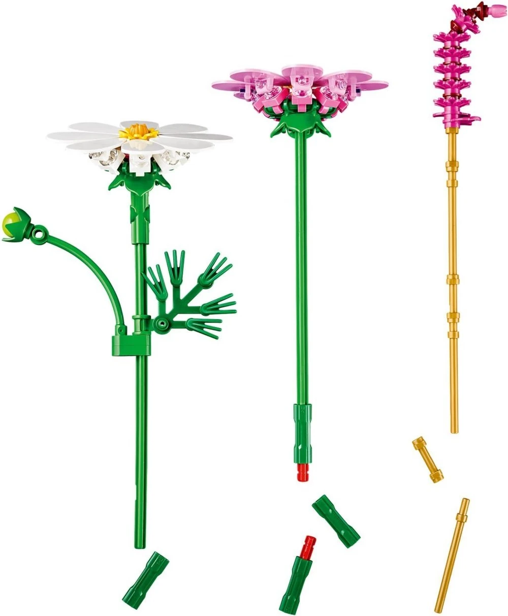 Flores de Cosmos