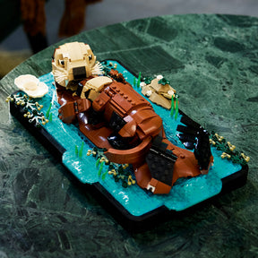 Nutrias Marinas a Flote
