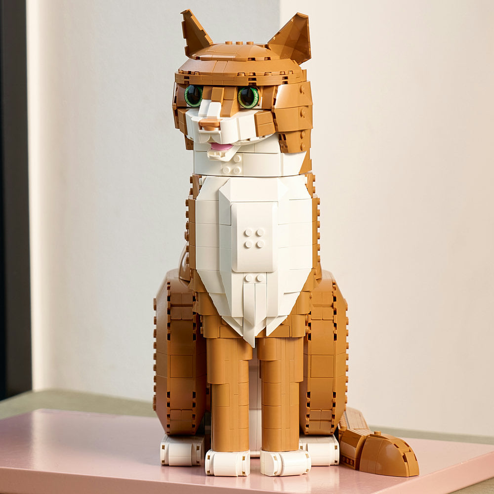 Gato Naranja