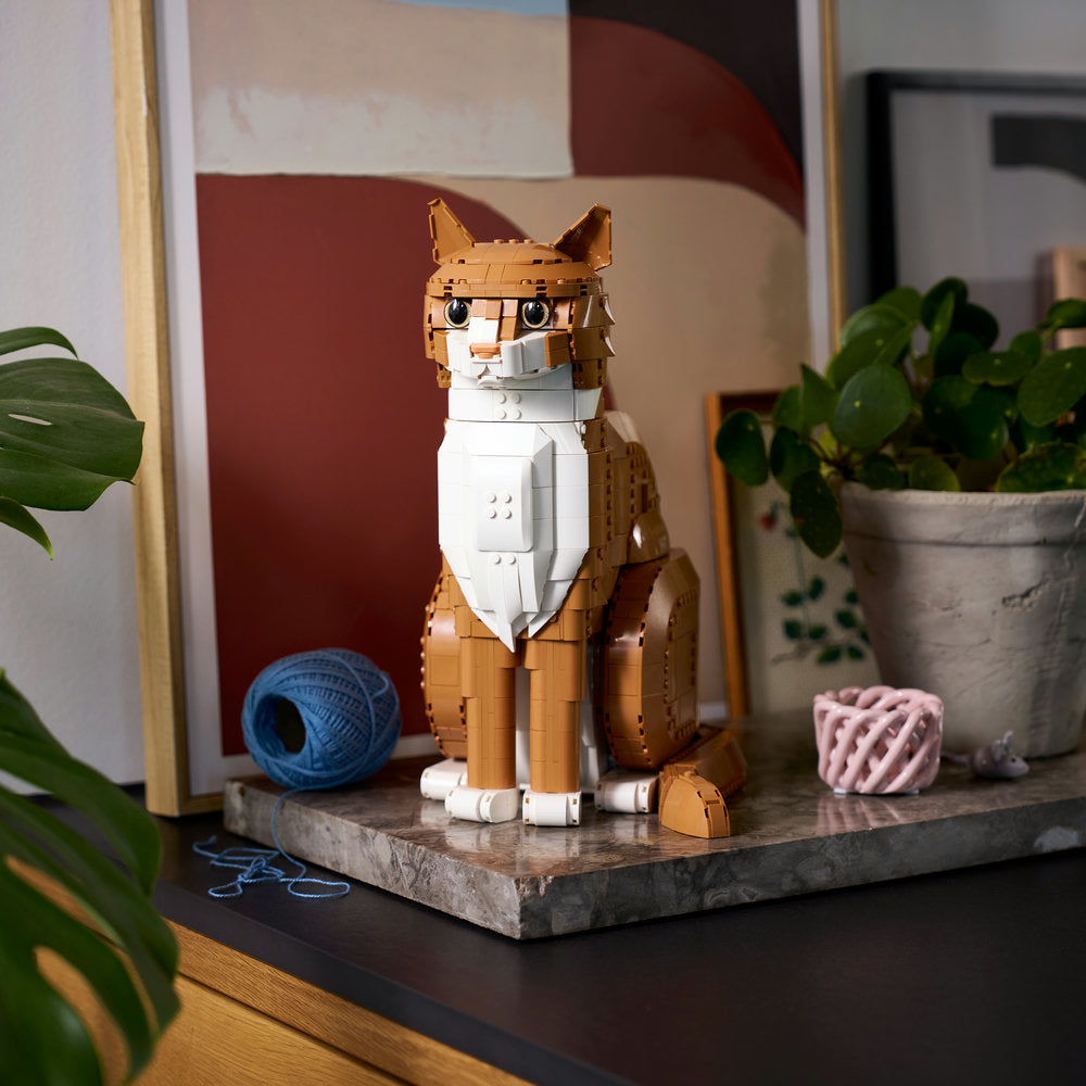 Gato Naranja