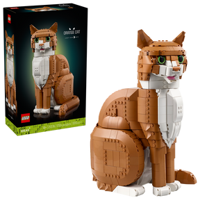 Gato Naranja