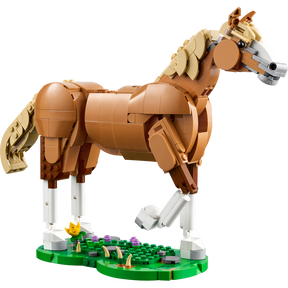 Caballo Noble