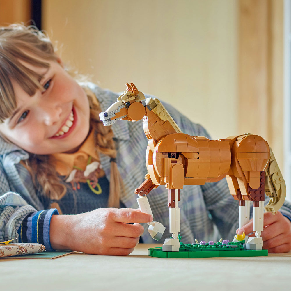 Caballo Noble