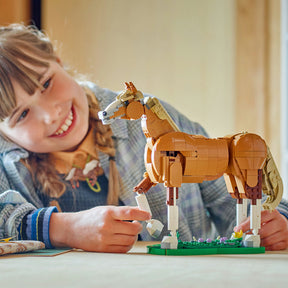 Caballo Noble