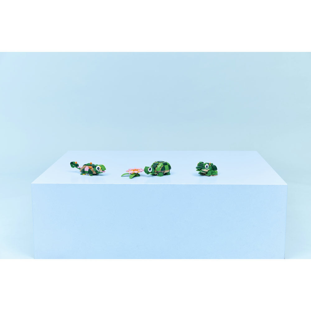 Tortuga con Flor de Nenúfar
