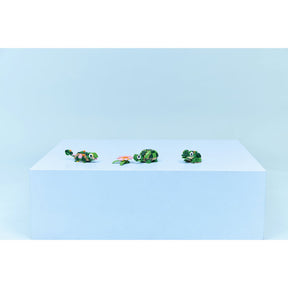 Tortuga con Flor de Nenúfar