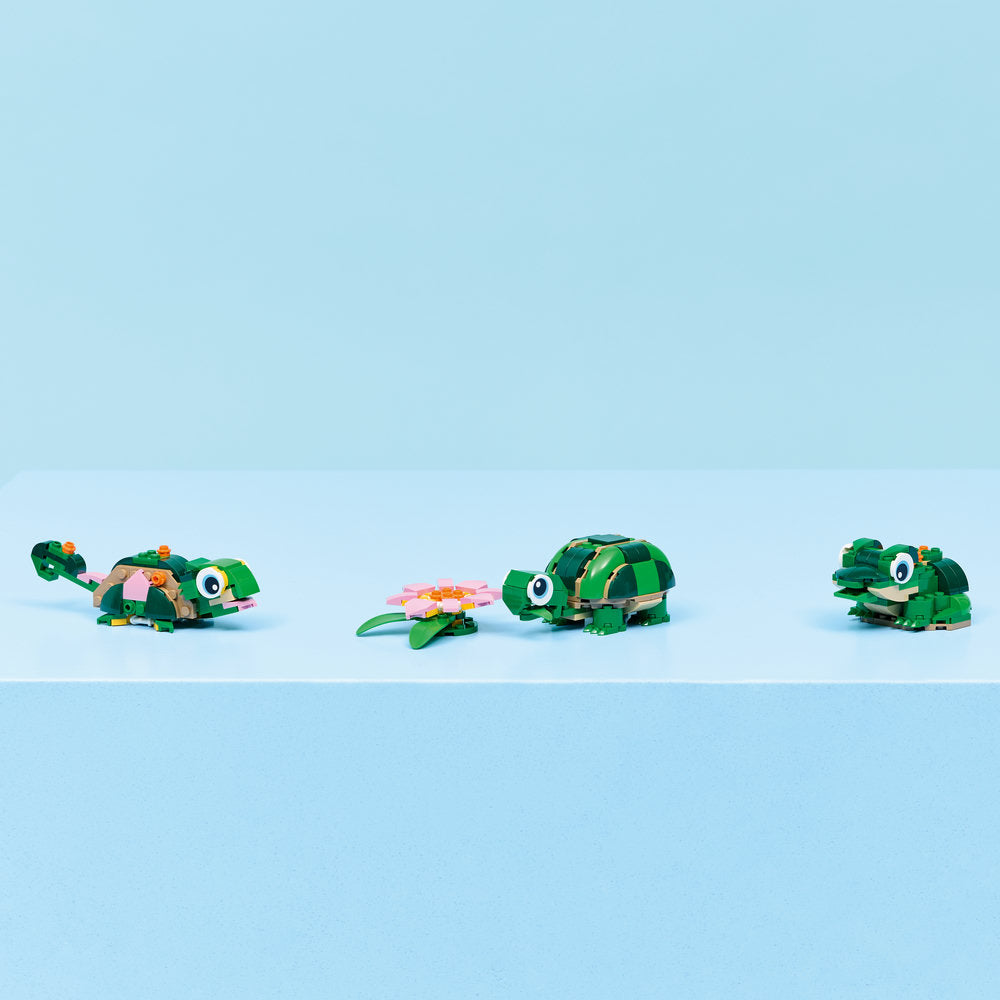 Tortuga con Flor de Nenúfar