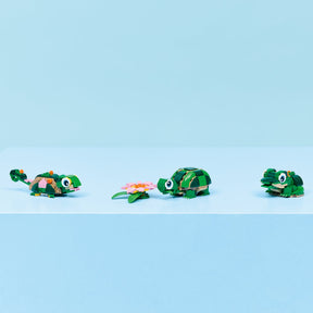 Tortuga con Flor de Nenúfar
