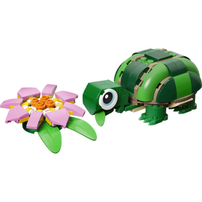 Tortuga con Flor de Nenúfar