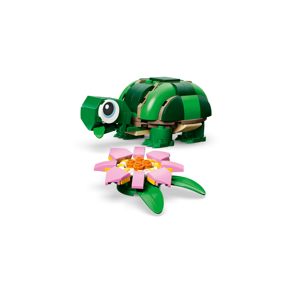 Tortuga con Flor de Nenúfar