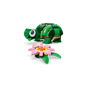 Tortuga con Flor de Nenúfar