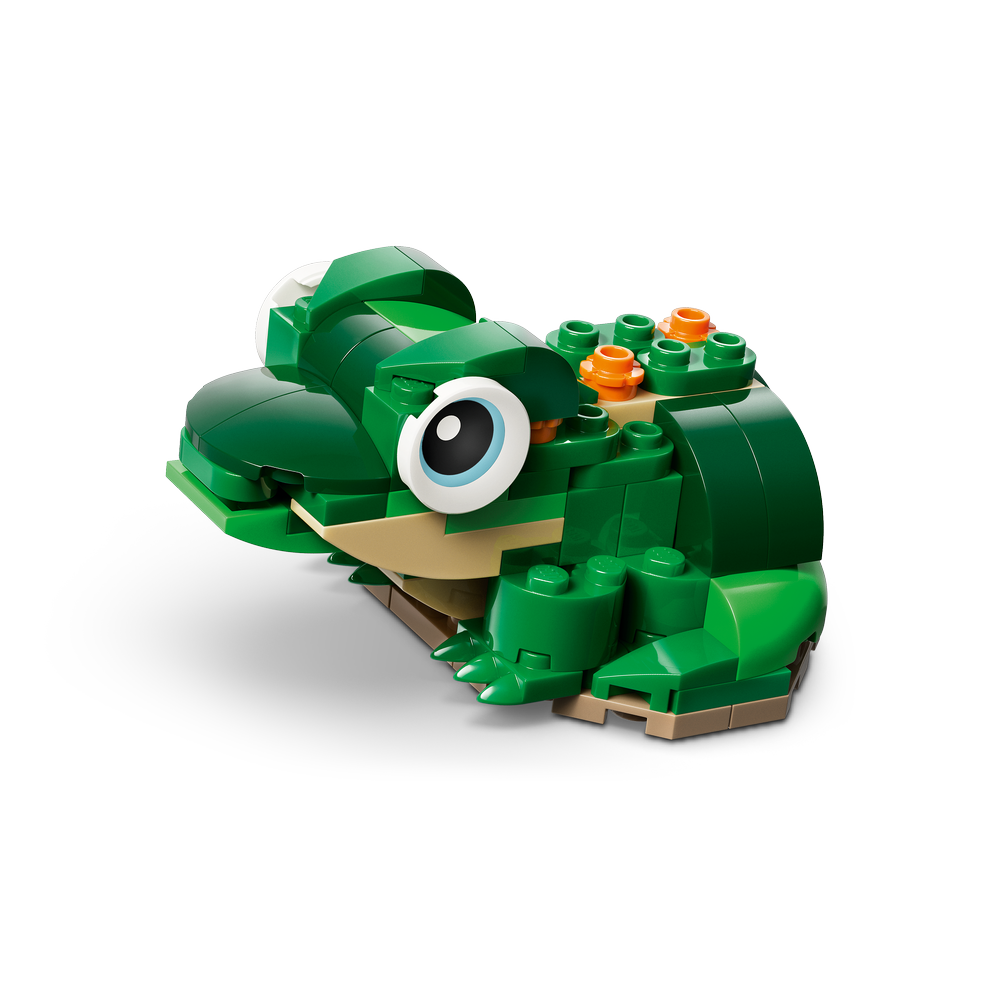 Tortuga con Flor de Nenúfar