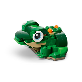 Tortuga con Flor de Nenúfar