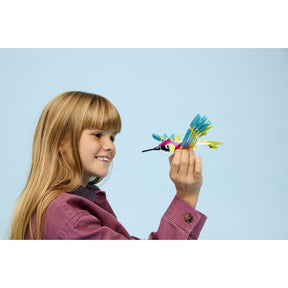 Fauna Salvaje: Colibrí de Colores